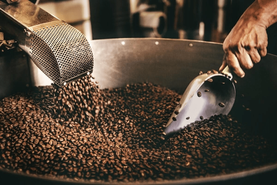 Boabele care ar putea schimba gustul cafelei. Mai puțin dulci, dar mai rezistente