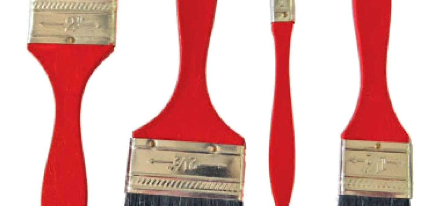 Nu folosiţi : Pensule Pure Bristle