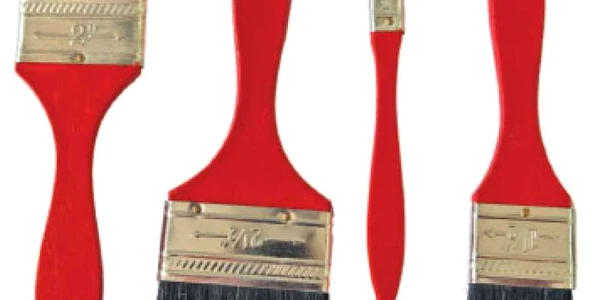 Nu folosiţi : Pensule Pure Bristle