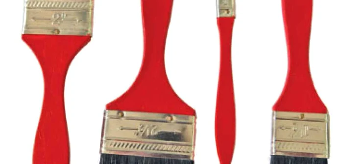 Nu folosiţi : Pensule Pure Bristle