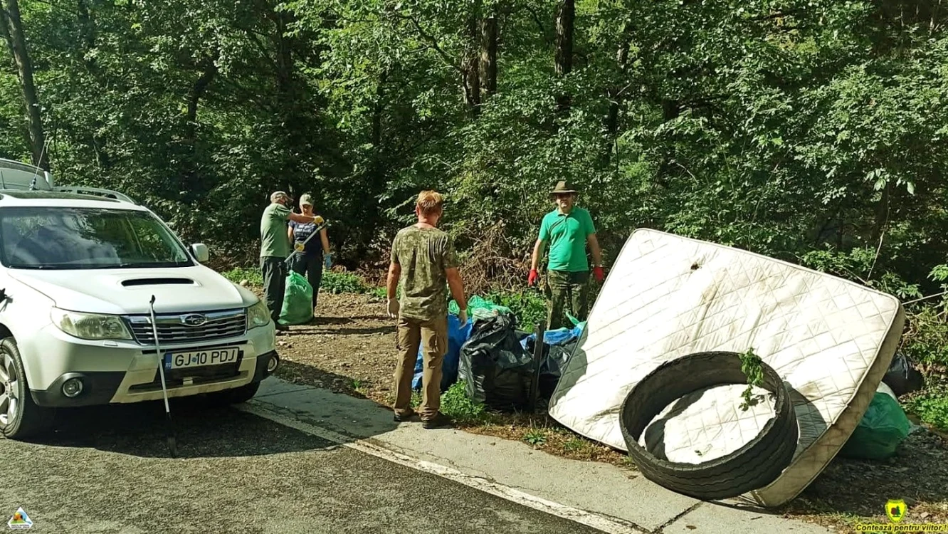 Pe marginea drumului naţional care străbate Defileul Jiului au fost abandonate saltele  Foto: facebook.com/defileuljiului