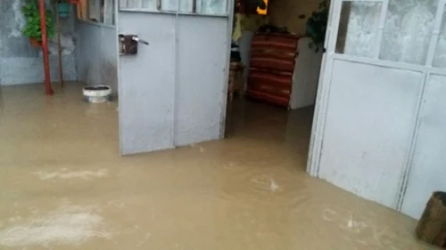 Vâlcea