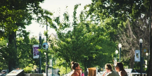 parc foto pexels png