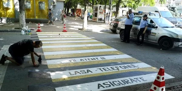 zebra 3 d