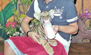 CLIIMA20120303 0031 1 jpeg