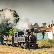 Mocănița de pe Valea Hârtibaciului Sibiu Foto Asociația Prietenii Mocăniței