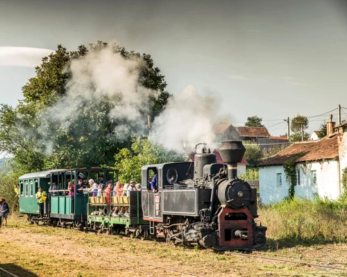 Mocănița de pe Valea Hârtibaciului Sibiu Foto Asociația Prietenii Mocăniței
