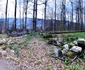 Sarmizegetusa Regia Foto Daniel Guță ADEVĂRUL (36) jpg