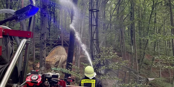 incendiu dina parc rasnov 20iulie FOTO Facebook Pompierii Voluntari Râșnov jpg