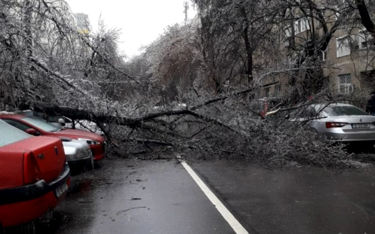 Polei Bucureşti / FOTO Mihaela Neagu / 26 ian 2019