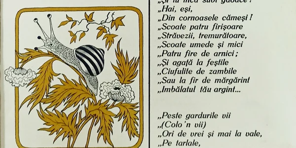 Pagina de carte Foto Biblioteca Județeană Dinicu Golescu jpg