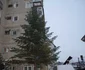 attila szucs 6