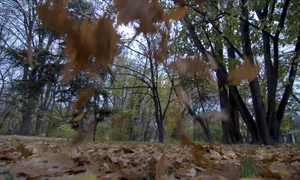 De Ovidenie, cerurile se deschid, spune tradiţia populară jpeg