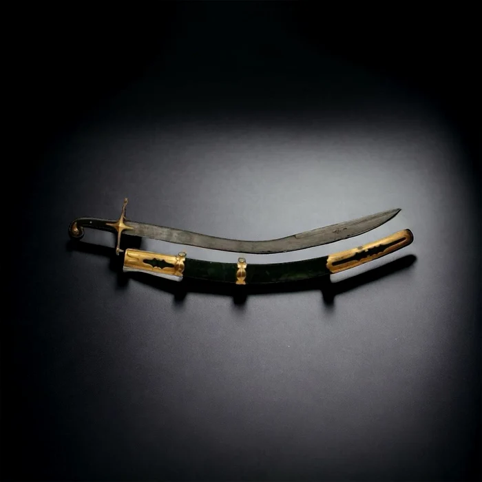 Sabia familiei nobiliare Osztoics (© Muzeul Național al Banatului)