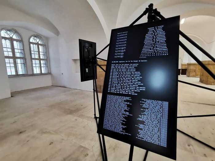 Sala de Marmură a Castelului Huniade FOTO Ștefan Both