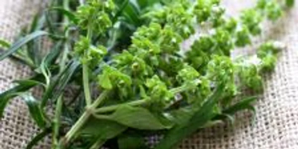 Ierburile aromatice elimină surplusul de apă şi depozitele de grăsime.