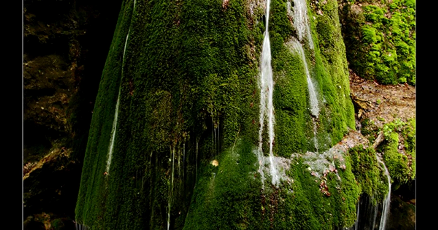 cascada bigar sandra rugina
