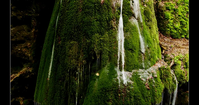 cascada bigar sandra rugina