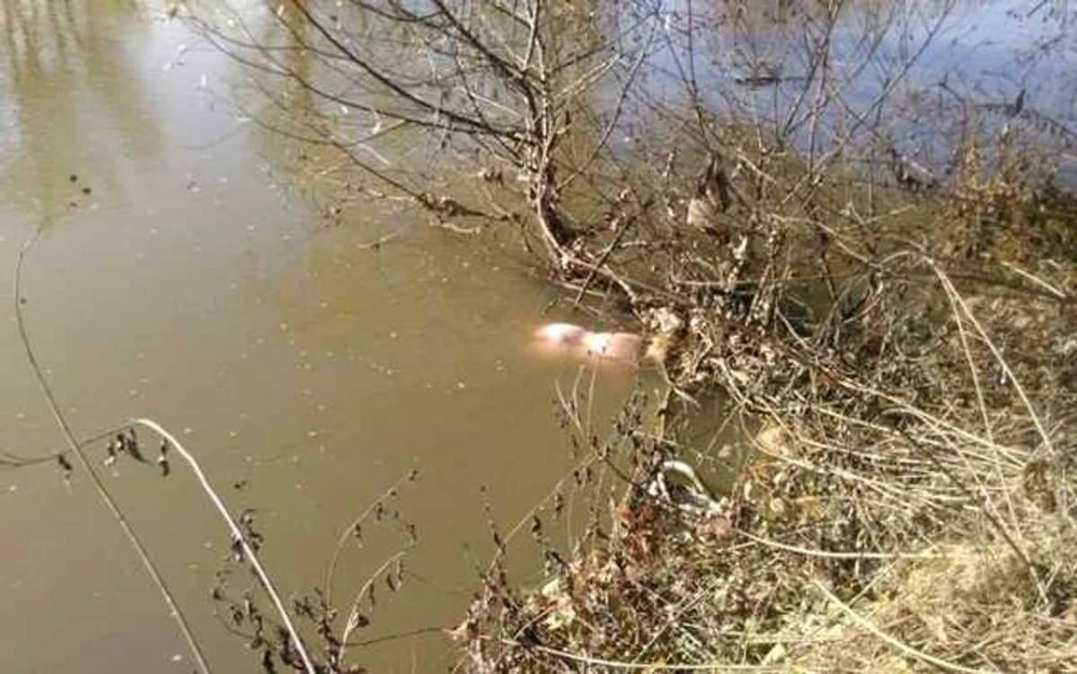 Femeia a fost observată de un bărbat care culegea nuci şi care a crezut că e un manechin