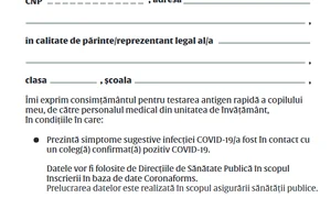 formular consimtamant acord testare png