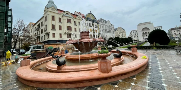 Fântâna cu pești din Timișoara FOTO Ruben Lațcău