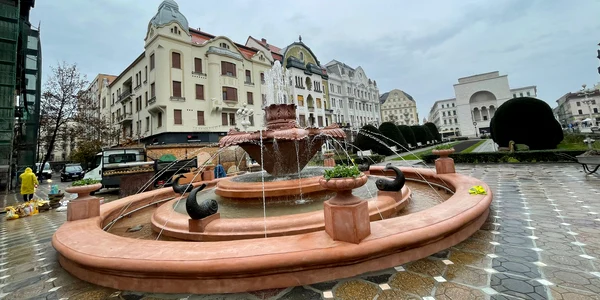 Fântâna cu pești din Timișoara FOTO Ruben Lațcău