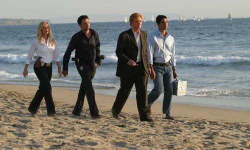 csim epi224 0353i jpeg