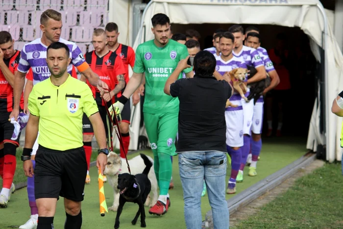 Campanie pentru adopţii de câini la echipa Poli FOTO Politehnica Timişoara