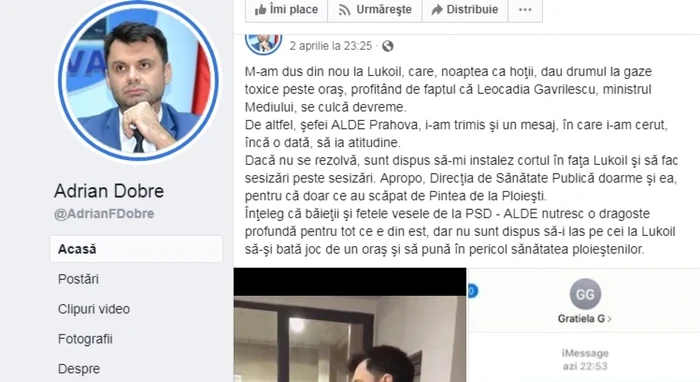 dobre despre gratiela gavrilescu
