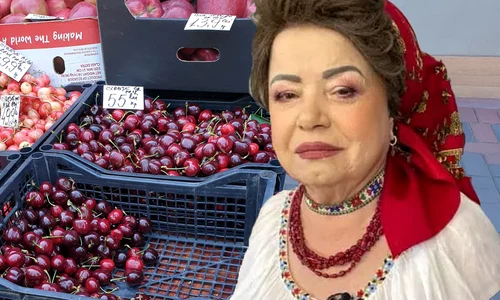 banner saveta bogdan jpg