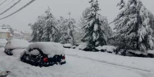 Iarna 2018 Lugoj FOTO Daniel Dancea