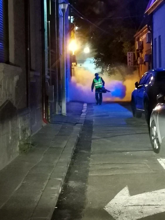 dezinsectie bucuresti 