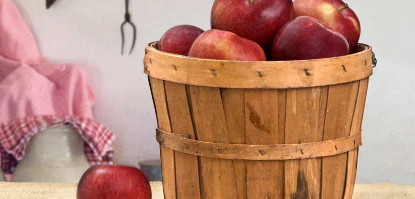 Olandezii dau tonul pe anumite segmente ale agriculturii europene