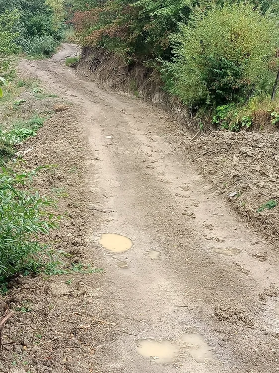 Patru băieţi, împotmoliţi cu maşina pe un drum dintr-o zonă turistică din Argeş. Cum îi scot pompierii din noroaie