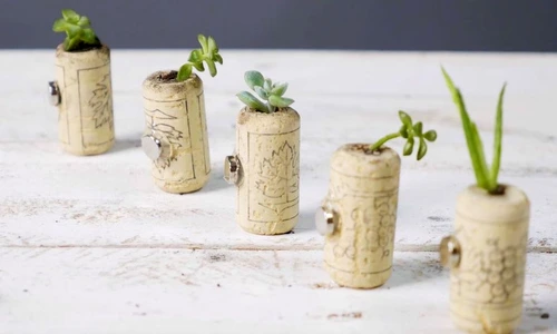 1 75711 original jpg jpeg