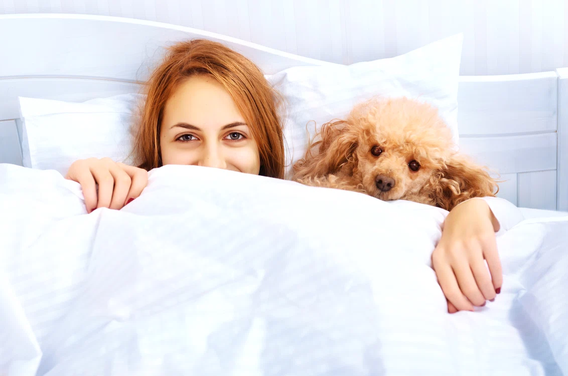 1 femeie in pat cu catelul shutterstock 348216401 jpg jpeg
