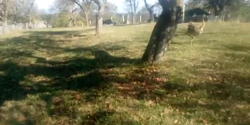 5c21dfb5df52022f75e07cfb jpg