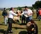 expozitie de oi langa simleu