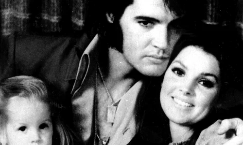 5 rexfeatures 846078a e1490862290432 jpg jpeg