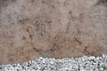 desene pompei copii jpg