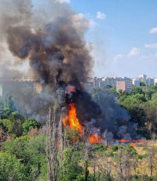 Incendiu într-un parc din Sectorul 3 al Capitalei. Peste 500 de metri pătrați au fost mistuiți de flăcări
