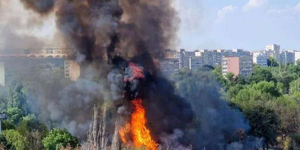 Incendiu în Parcul IOR   14 iulie 2024  Foto Facebook Grupul de Inițiativă Civică IOR-Titan jpg