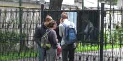 20% dintre elevi au luat note sub 5