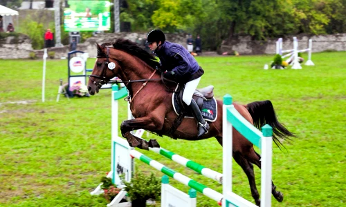 Karpatia Horse Show 2022 08 09 2022 webp