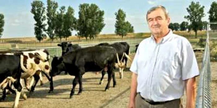 Ştefan Poienaru, unul dintre cei mai bogaţi agricultori din Bărăgan Foto:Adevărul