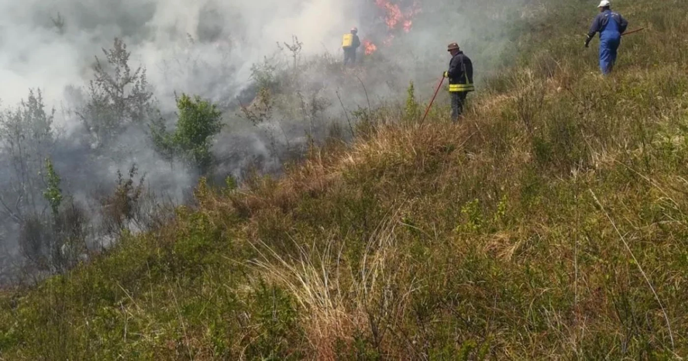 incendiu vegetatie uscata