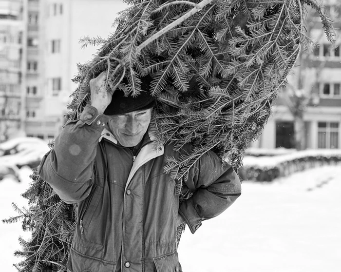 Ionuţ Cîrja FOTO flickr.com