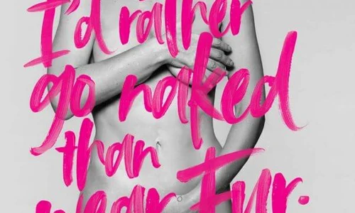 gillian anderson jpeg