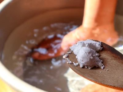 shutterstock 2657757429 jpg