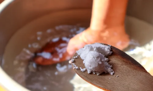 shutterstock 2657757429 jpg